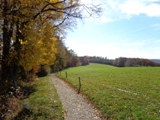 Wanderweg bei der Mostalm