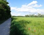 Wanderweg zur Esslinger Furt