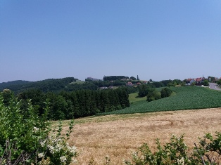 Ausblick vom Gasthaus Auer