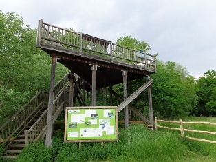 Aussichtsturm Storchenkolonie