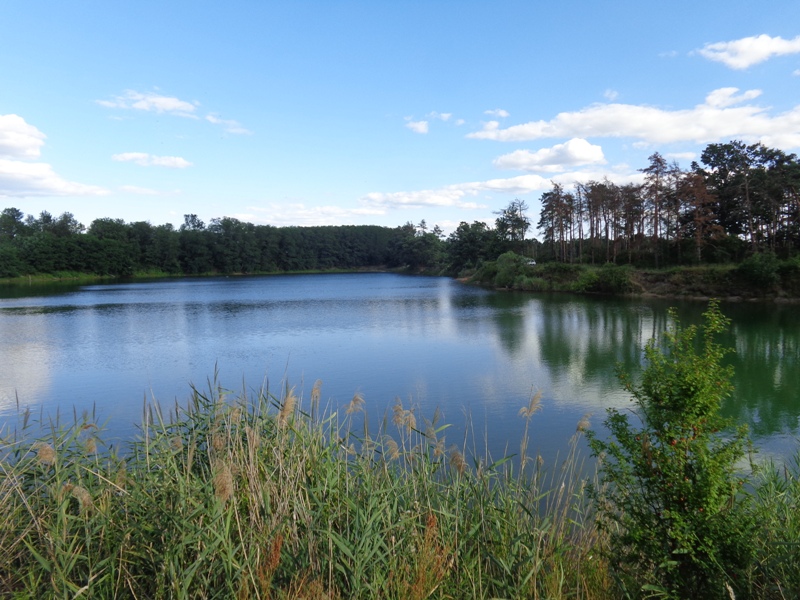 Baggersee bei Drösing