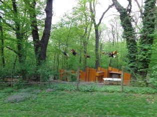 Bienenstation in Schönbrunn