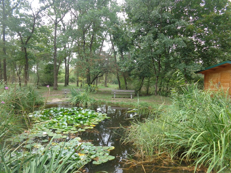 Biotop der Naturfreunde