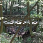 Brücke im Wald