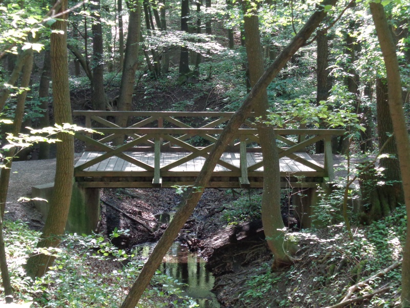 Brücke im Wald