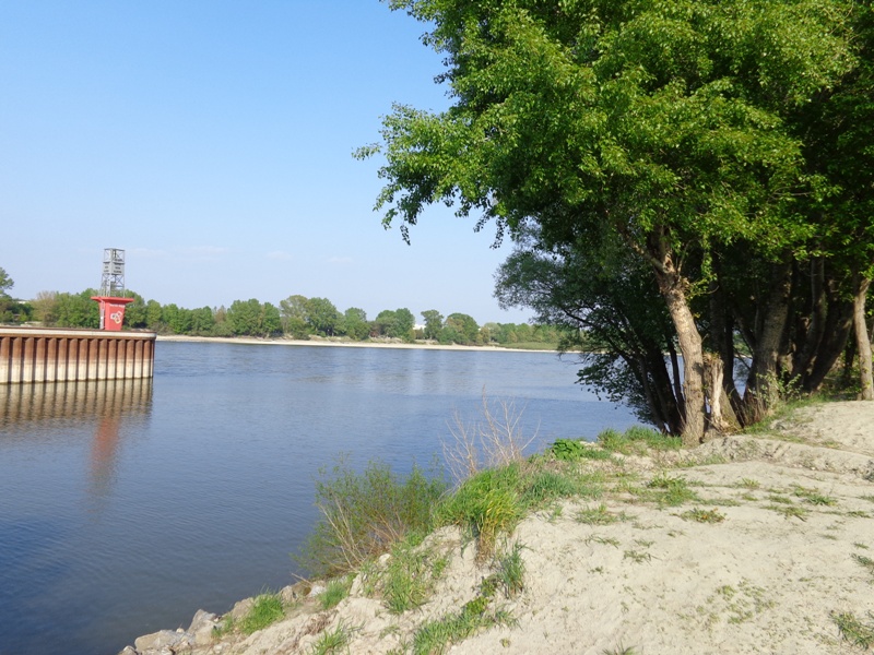 Donauufer bei Albern