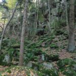 Felsen in der Steinbachklamm