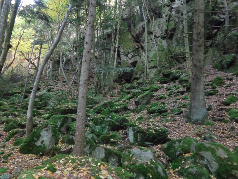 Felsen in der Steinbachklamm