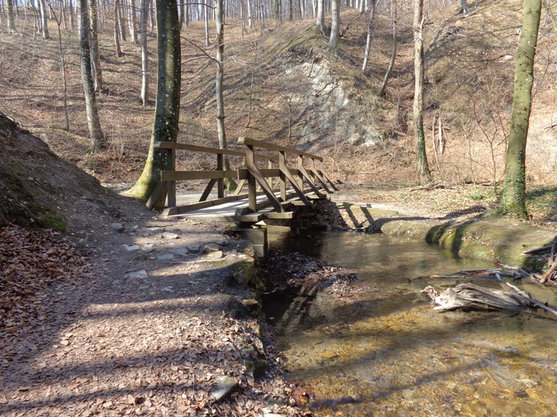 Hagenbachklamm im Naturpark Eichenhain
