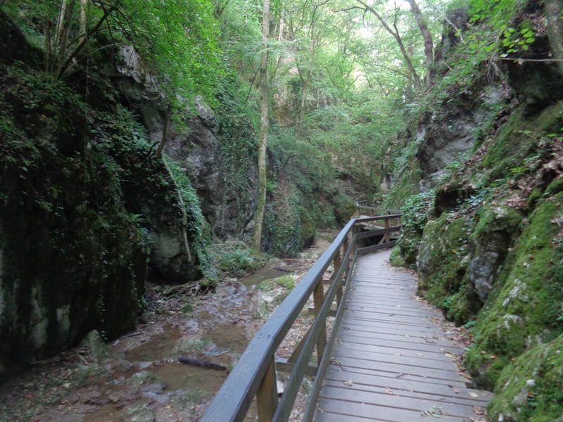 Johannesbachklamm