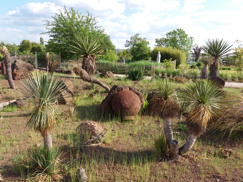 Mexikanischer Garten