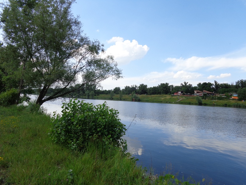 An der Neuen Donau