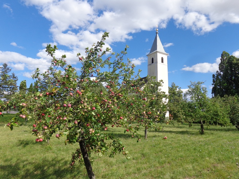 Pfarrkirche Sierndorf