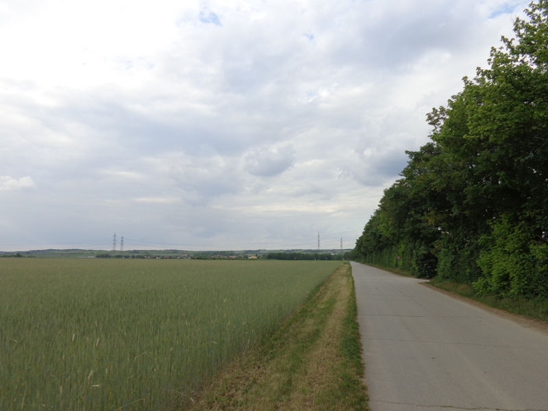 Radweg nach Großengersdorf