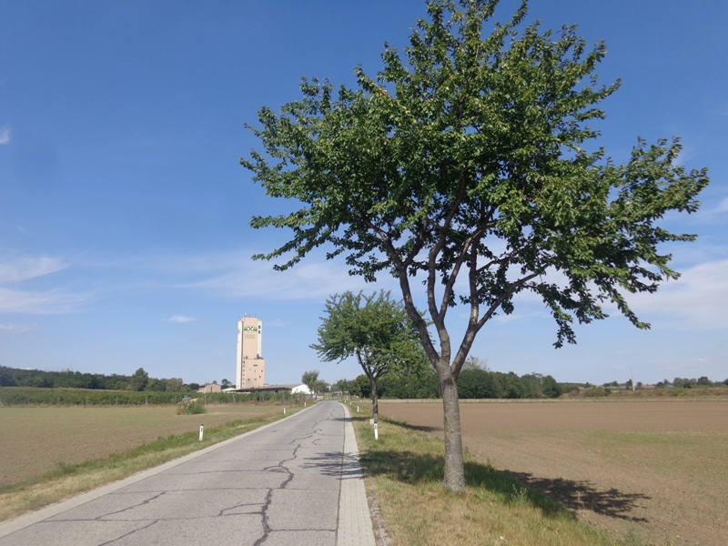 Radweg bei Marchegg