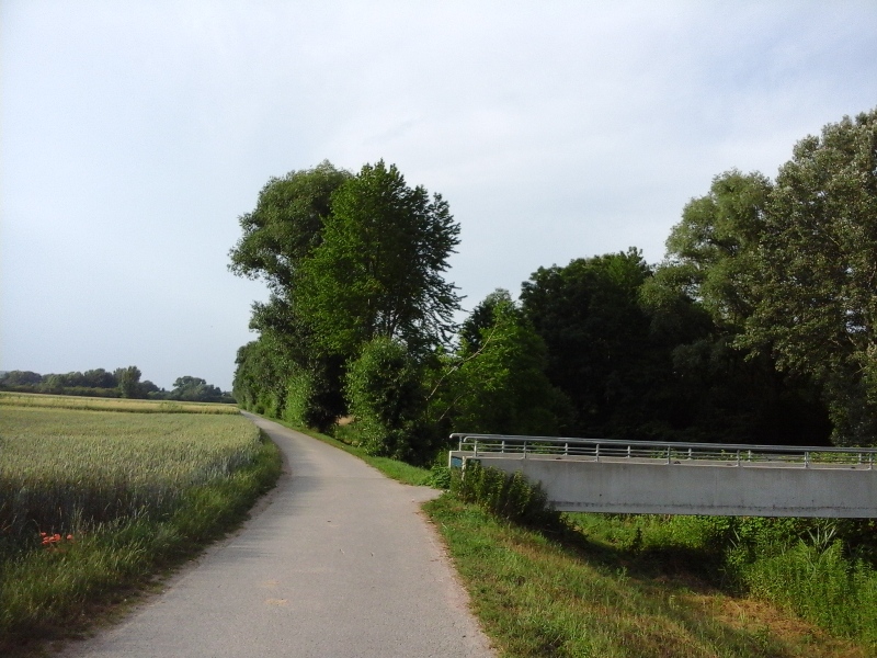 Radweg bei Ulrichskirchen