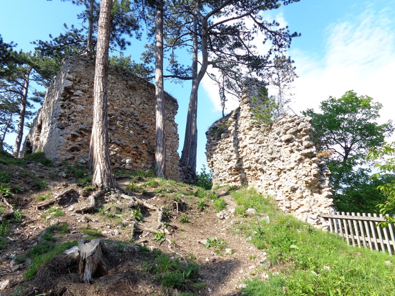 Ruine Schrattenstein