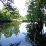 Teich im Schwarzenbergpark