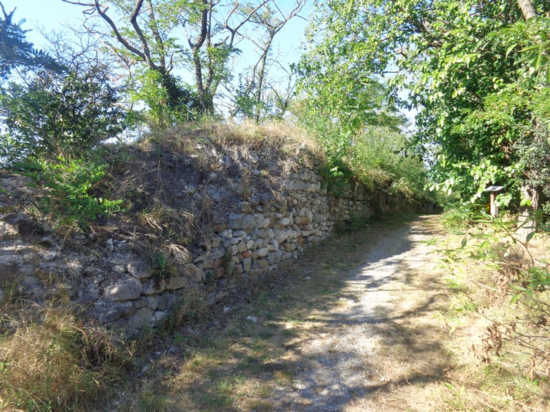 Stadtmauer Marchegg