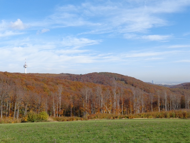 Verbindungsweg Hermannskogel-Purkersdorf