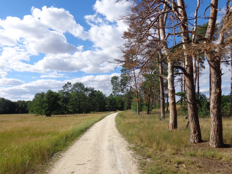 Wandern am Hufeisen