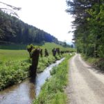 Wanderung am Johannesbach