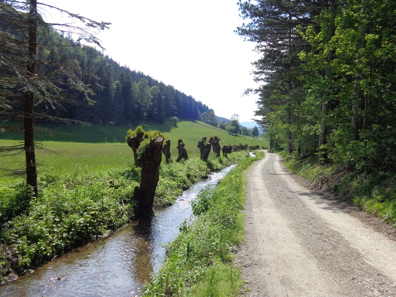 Wanderung am Johannesbach