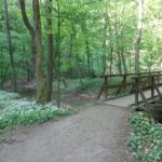 Wanderweg Hagenbachklamm