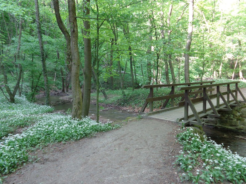 Wanderweg Hagenbachklamm