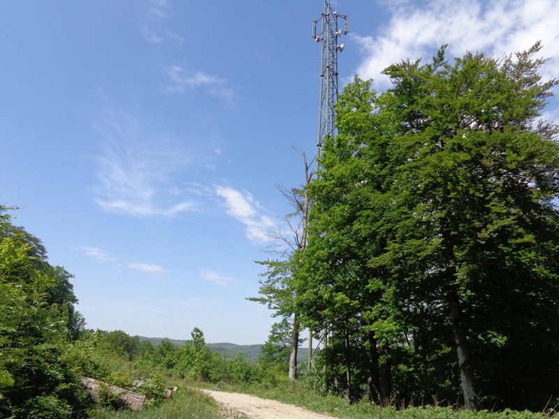 Wanderweg am Kahlenberg