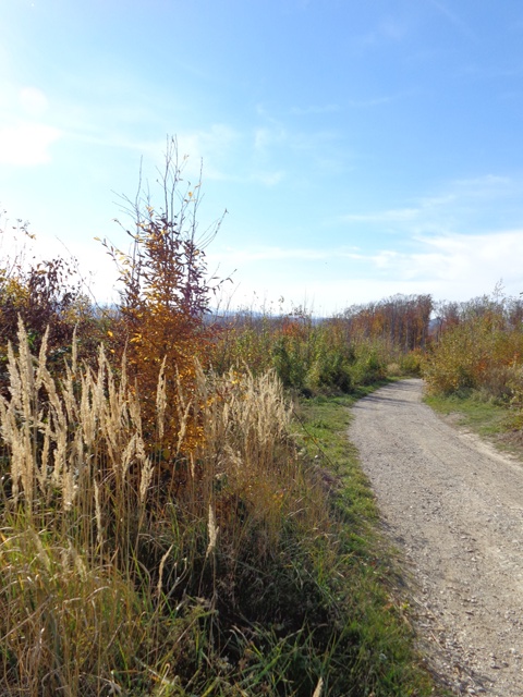 Wanderweg zur Mostalm