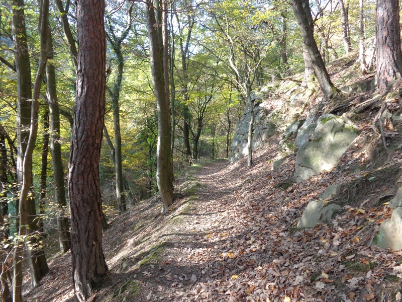 Wanderweg bei Hinterbrühl