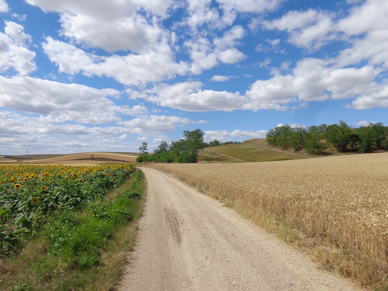 Wanderweg bei Jedenspeigen