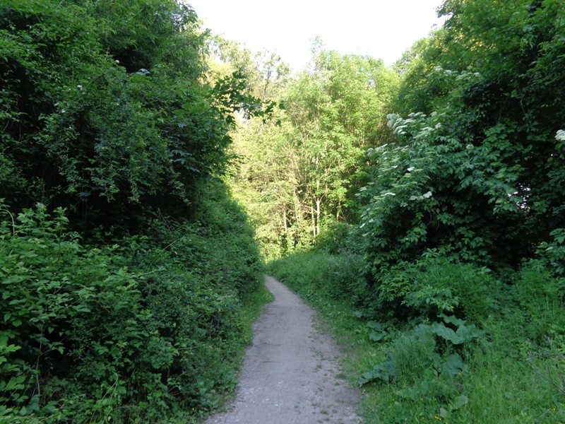 Weg zum Schwarzenbergpark