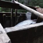 Wasserzufuhr Tuxer Mühle