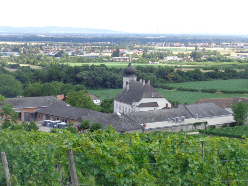 Beim Weingut Thallern