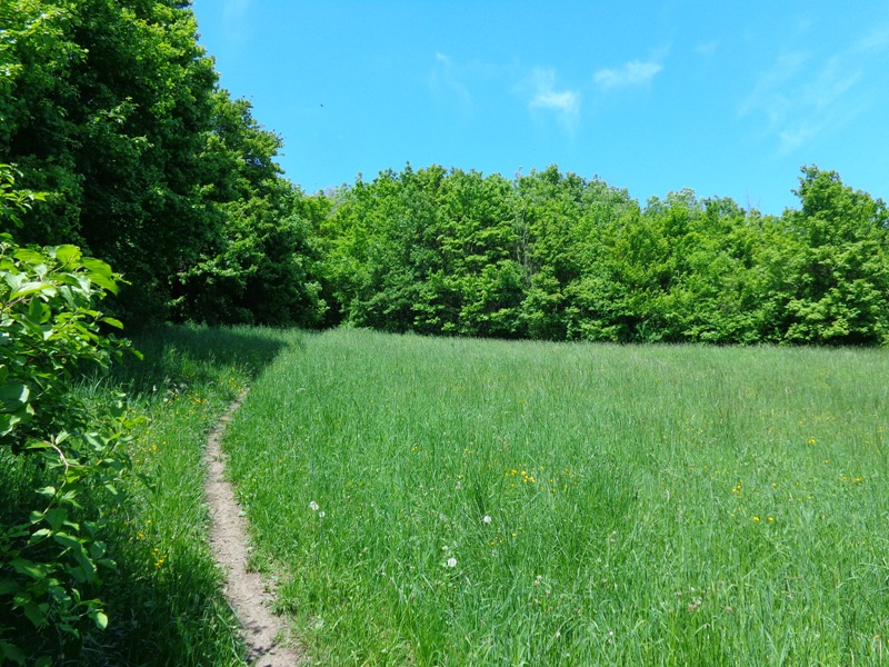 Brandstätterweg