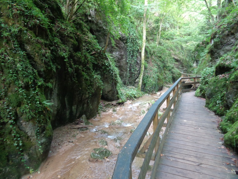 Holzsteg Johannesbachklamm