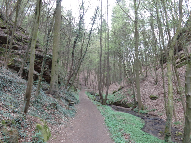 Naturlehrpfad im Reisperbachtal