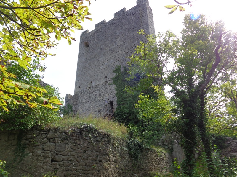 Ruine Rauheneck