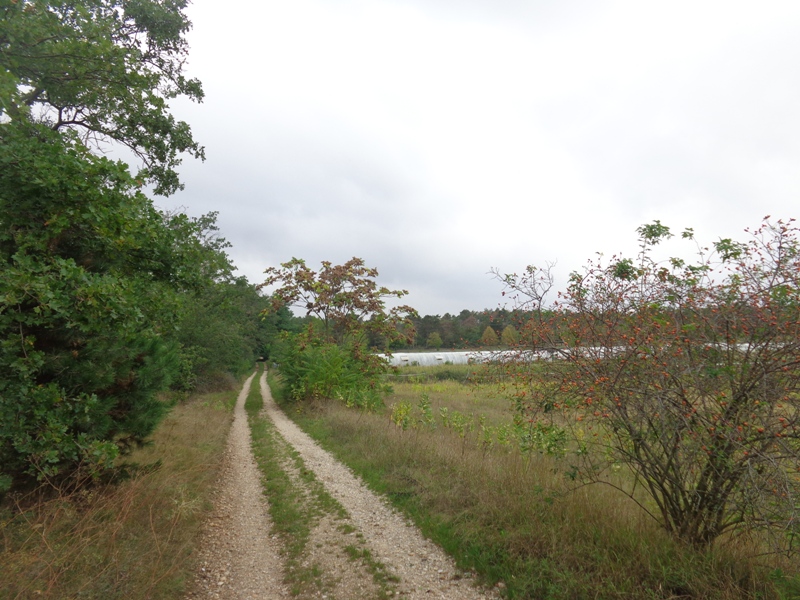 Sanddünen Radweg