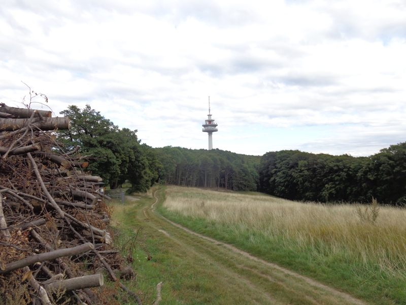 Scheiterplatz am Exelberg