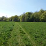 Spielplatz am Falkenberg