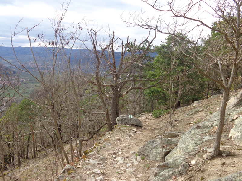 Wanderweg bei Dürnstein