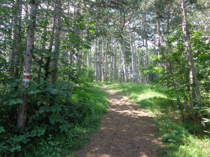 Weg nach Döppling