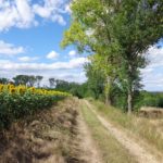 Wanderweg nach Sierndorf