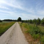 Wanderweg nach Wolkersdorf