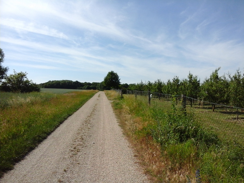 Wanderweg nach Wolkersdorf