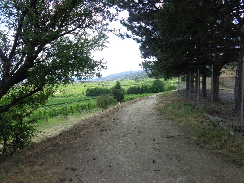 Wasserleitungs Wanderweg