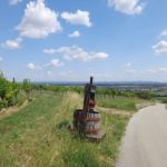 Weinpresse bei Thallern